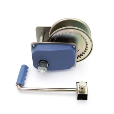 Lyno gervė