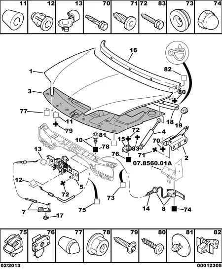 bodywork — bonnet › BONNET