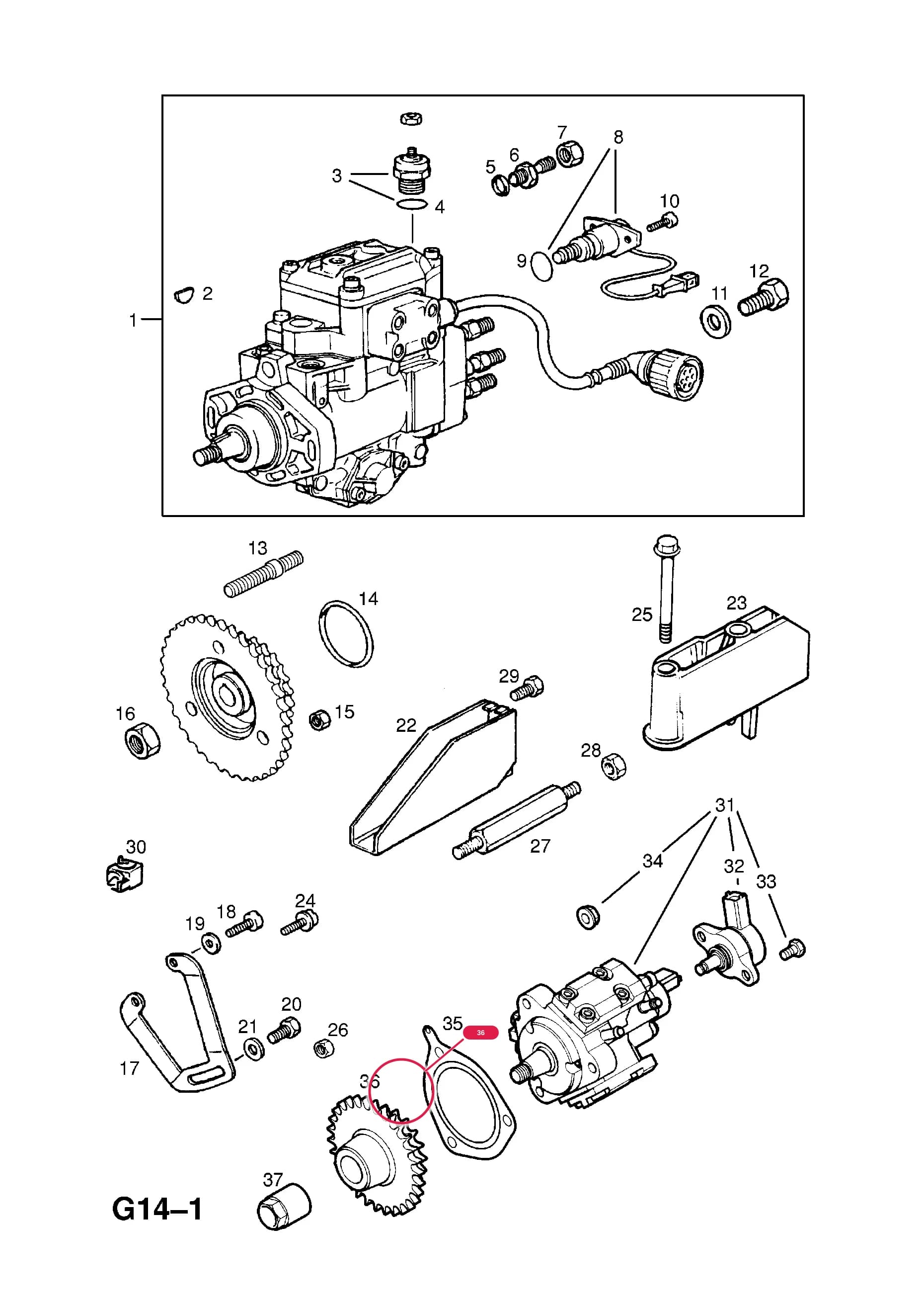 SPROCKET,FUEL INJECTION PUMP — Opel  OMEGA-B ( 1994 -  2003) — G FUEL AND EXHAUST › 124.FUEL INJECTION PUMP (CONTD.)