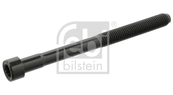 Cilindro galvutės varžtas — FEBI BILSTEIN 11953