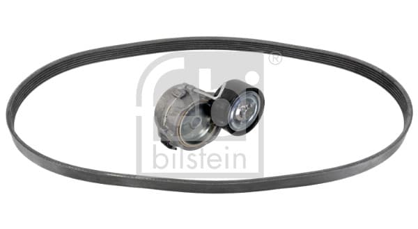 FEBI BILSTEIN 183486 V formos rumbuoto diržo komplektas