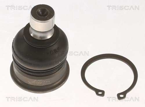 TRISCAN 8500 14556 Šarnyras