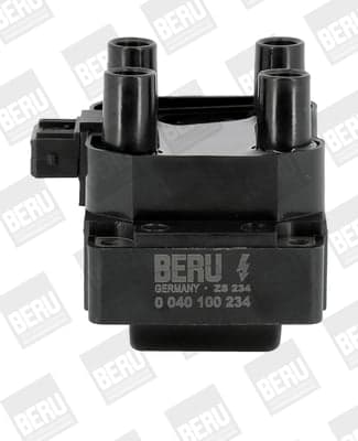 Uždegimo ritė — BorgWarner (BERU) ZS234