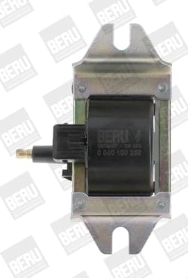 Uždegimo ritė — BorgWarner (BERU) ZS250