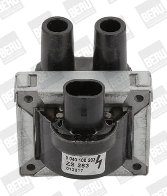 BorgWarner (BERU) Uždegimo ritė