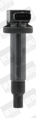 Uždegimo ritė — BorgWarner (BERU) ZSE165