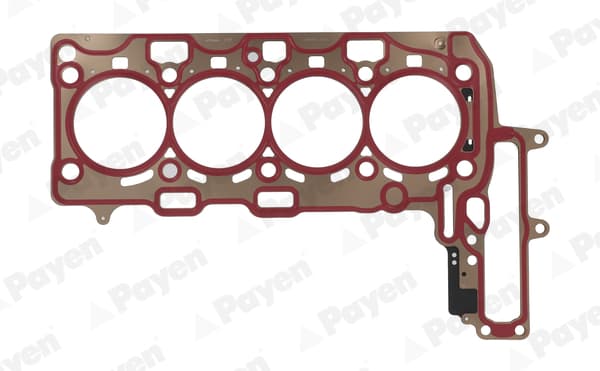 PAYEN AH8190 Cilindro galvos tarpiklis