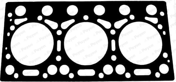 PAYEN BW050 Cilindro galvos tarpiklis