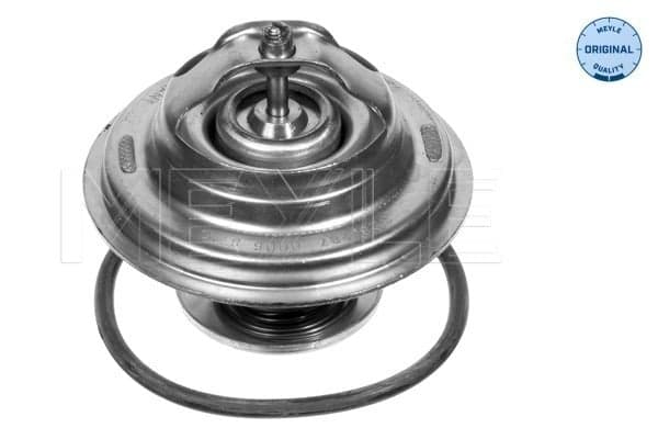 MEYLE 028 287 0006 Termostatas