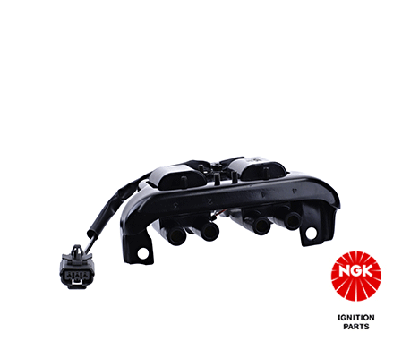 Uždegimo ritė — NGK 48250