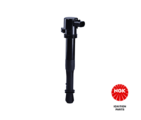 Uždegimo ritė — NGK 48034