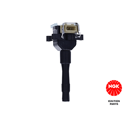 Uždegimo ritė — NGK 48036
