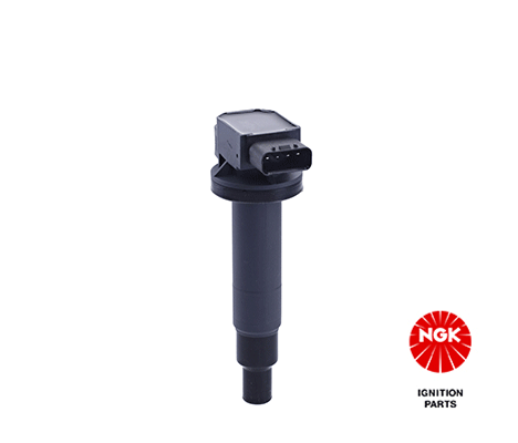 Uždegimo ritė — NGK 48095