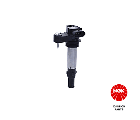 Uždegimo ritė — NGK 48174
