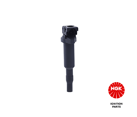 Uždegimo ritė — NGK 48216