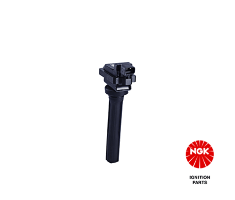 Uždegimo ritė — NGK 48285