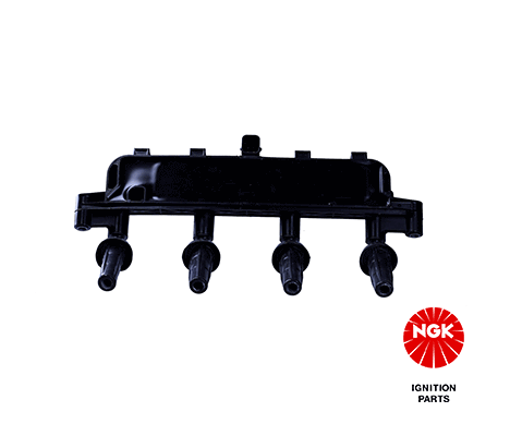 Uždegimo ritė — NGK 48074