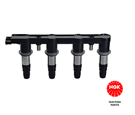 Uždegimo ritė — NGK 49076