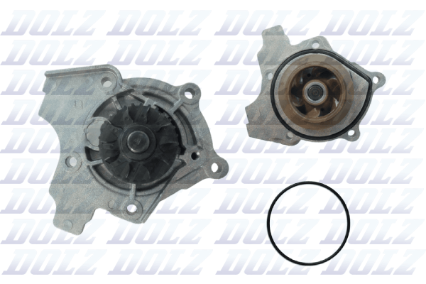 DOLZ A243