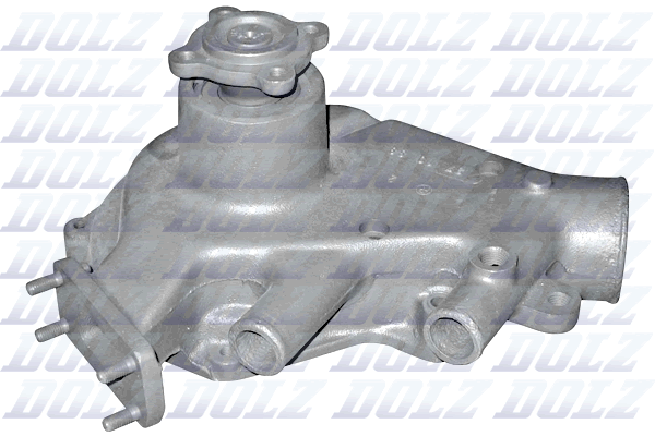 DOLZ D202 Vandens siurblys