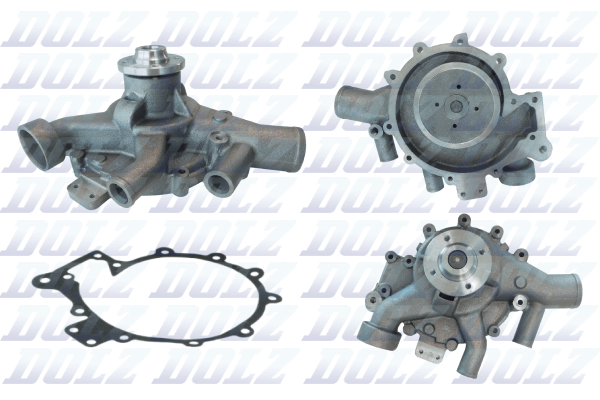 DOLZ D319 Vandens siurblys