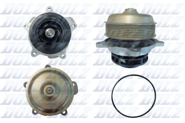 DOLZ D321 Vandens siurblys