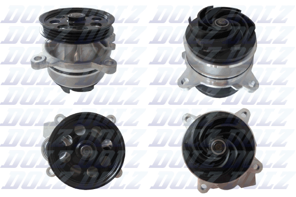 DOLZ F252 Vandens siurblys