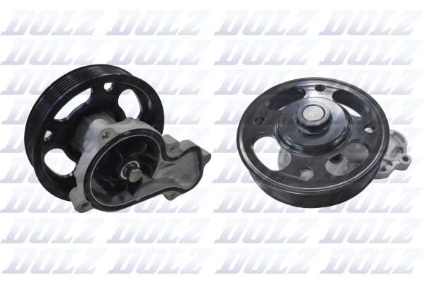 DOLZ H265 Vandens siurblys
