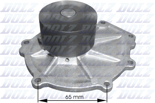 DOLZ M304 Vandens siurblys