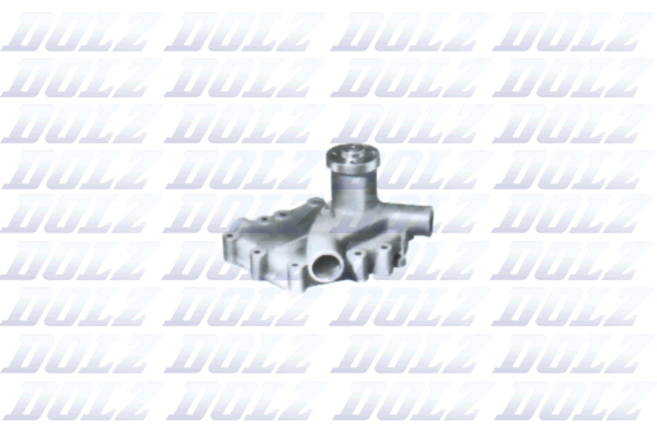 DOLZ N450 Vandens siurblys