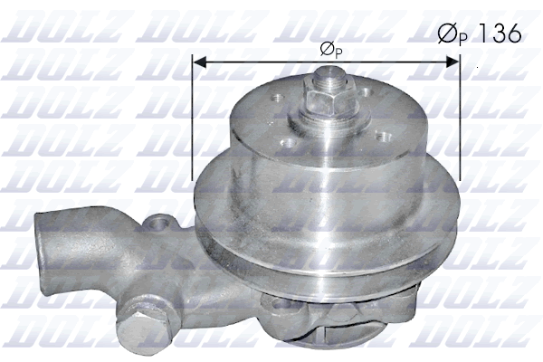 DOLZ P309 Vandens siurblys
