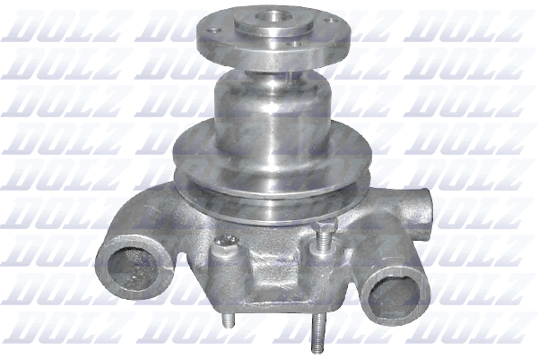 DOLZ P311 Vandens siurblys