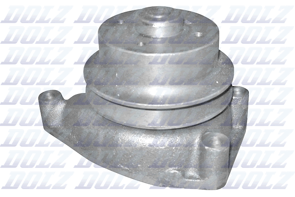 DOLZ P312 Vandens siurblys