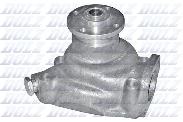 DOLZ P317 Vandens siurblys