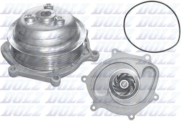 DOLZ P503 Vandens siurblys