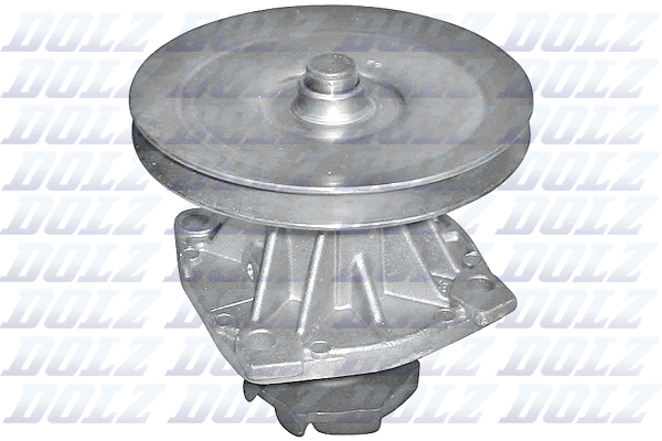 DOLZ S124ST Vandens siurblys