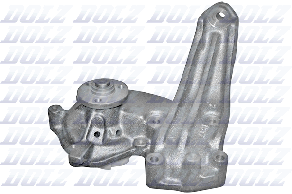 DOLZ S172ST Vandens siurblys