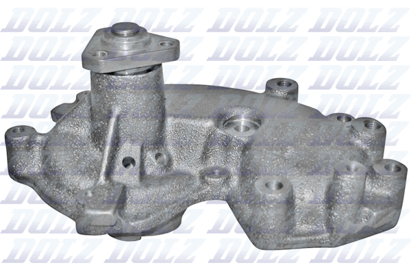 DOLZ S181ST Vandens siurblys