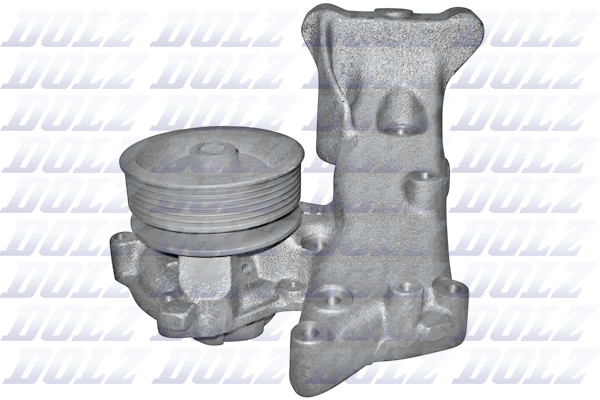 DOLZ S222ST Vandens siurblys