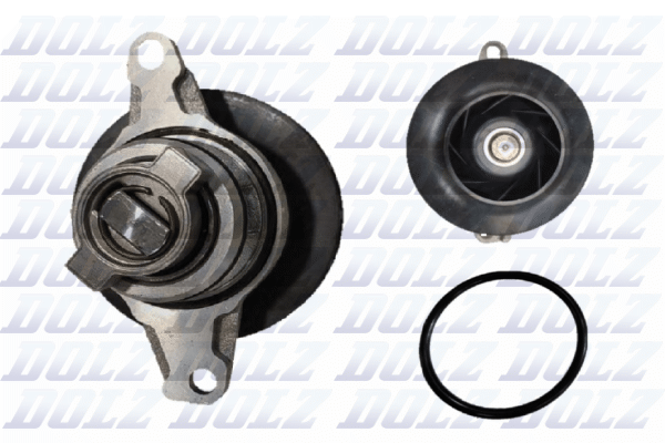 DOLZ S295