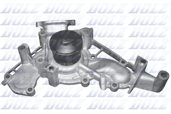 DOLZ T250 Vandens siurblys