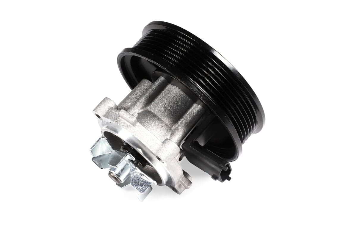 HEPU P3003M Vandens siurblys