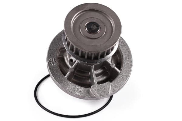 HEPU P314 Vandens siurblys