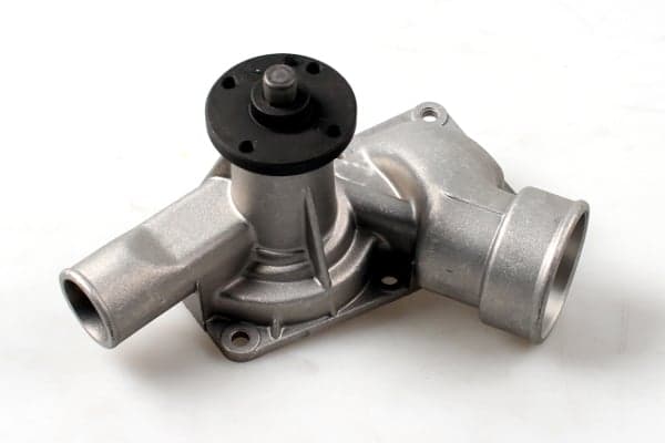 HEPU P339 Vandens siurblys