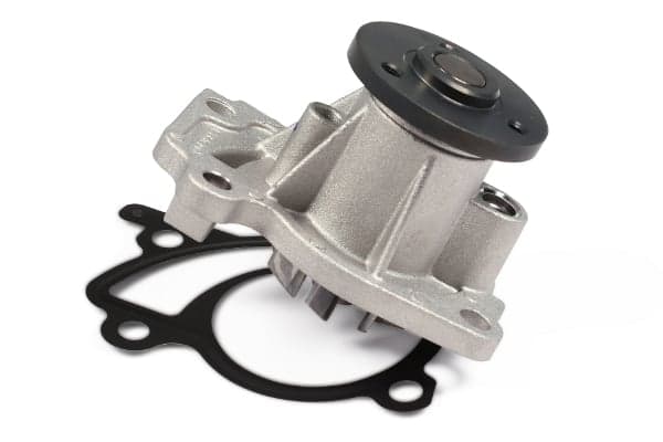 HEPU P967 Vandens siurblys