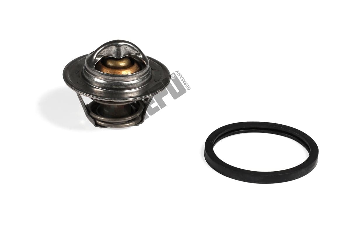 HEPU TM1001 Termostatas