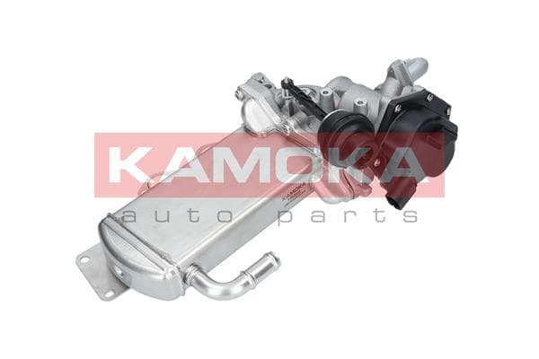 KAMOKA 19068 ERG modulis