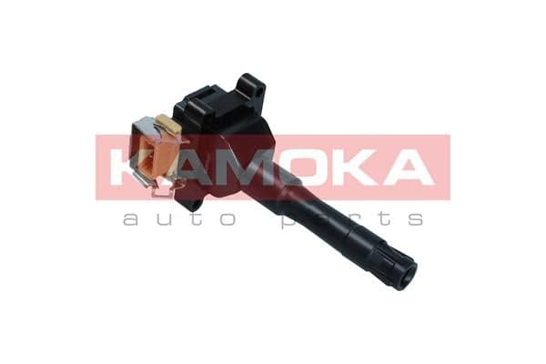 Uždegimo ritė — KAMOKA 7120011