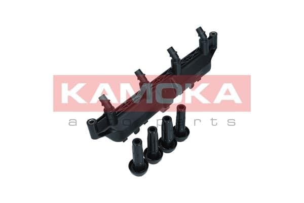 Uždegimo ritė — KAMOKA 7120038