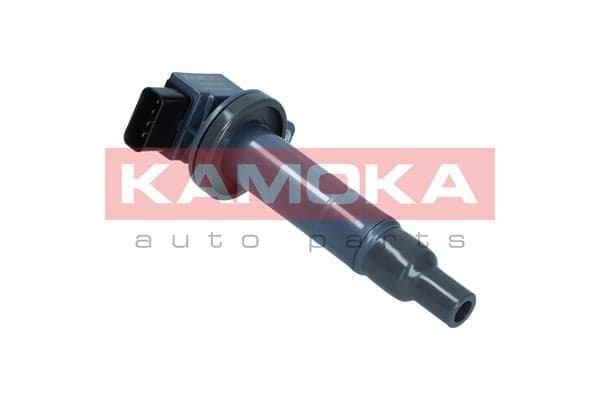 Uždegimo ritė — KAMOKA 7120040